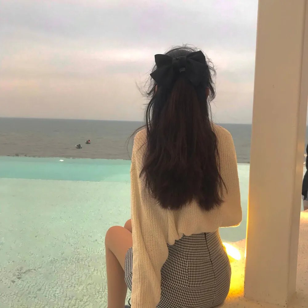 燕子盗